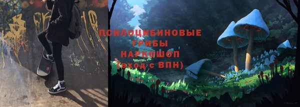 PSILOCYBIN Бронницы