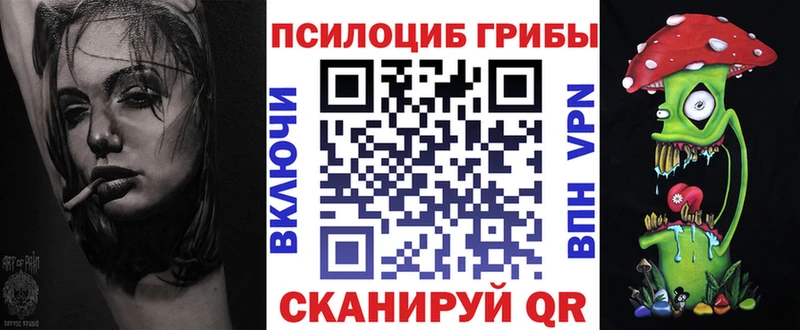 Галлюциногенные грибы Psilocybe  Архангельск 